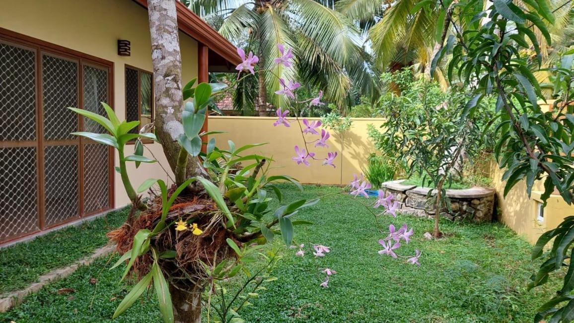 El-Nivasa Villa In Weligama Exterior foto